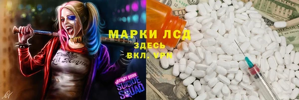 мяу мяу мука Абаза