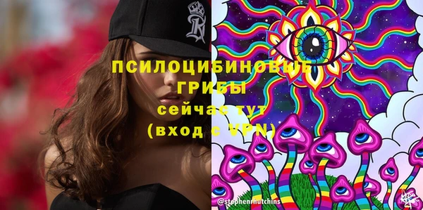 Альфа ПВП Алексин