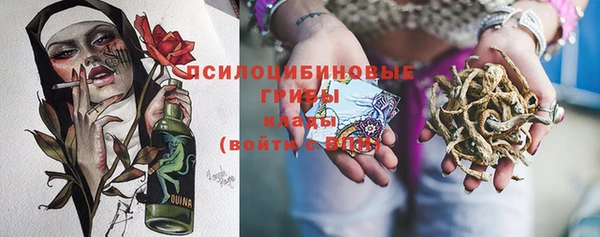 мяу мяу мука Абаза